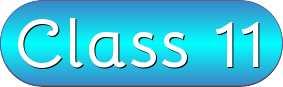 Class 11