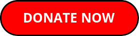 Donate Now