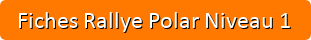 Téléchargez les fiches Rallyes Polar Niveau 1